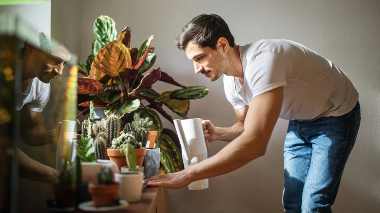 Save Money On Plant Pedestals With A Gorgeous Thrift Flip