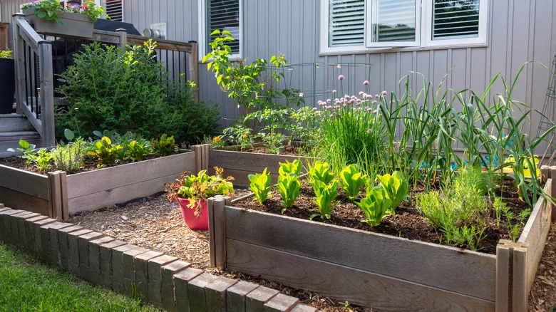 Save Your Broken Garden Pots To DIY Adorable Plant Markers