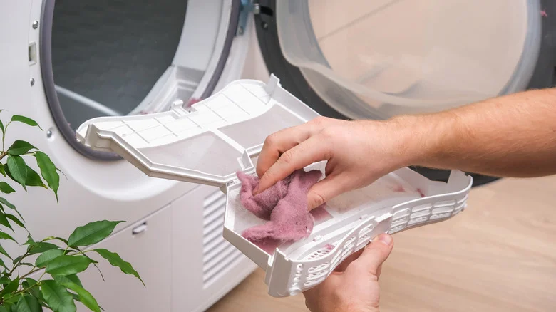 Save Your Dryer Lint To Help Combat Weeds In The Garden. Here’s How