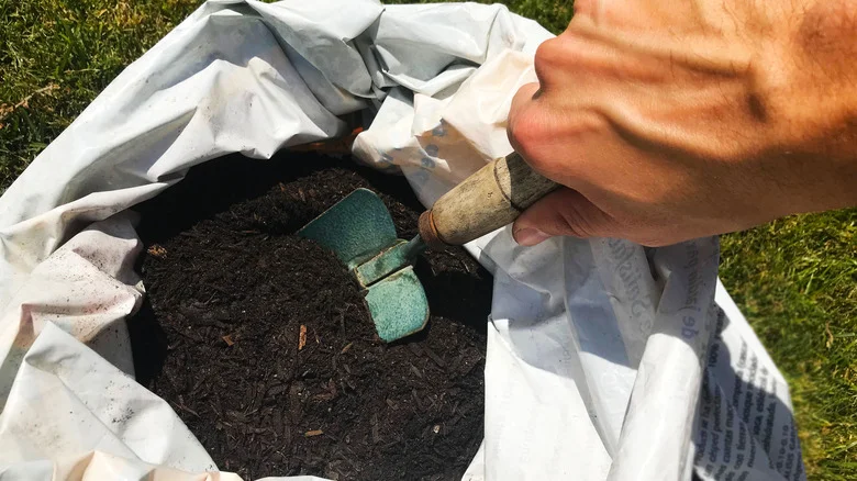 Save Your Empty Potting Soil Bags To Expand Your Small Garden