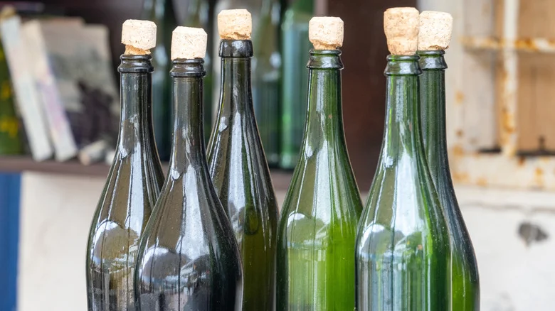 Save Your Wine Bottles To Repurpose Them Into A Unique Self-Watering Planter