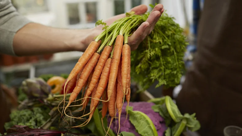 Saving Carrot Seeds? Here’s What You Must Know First