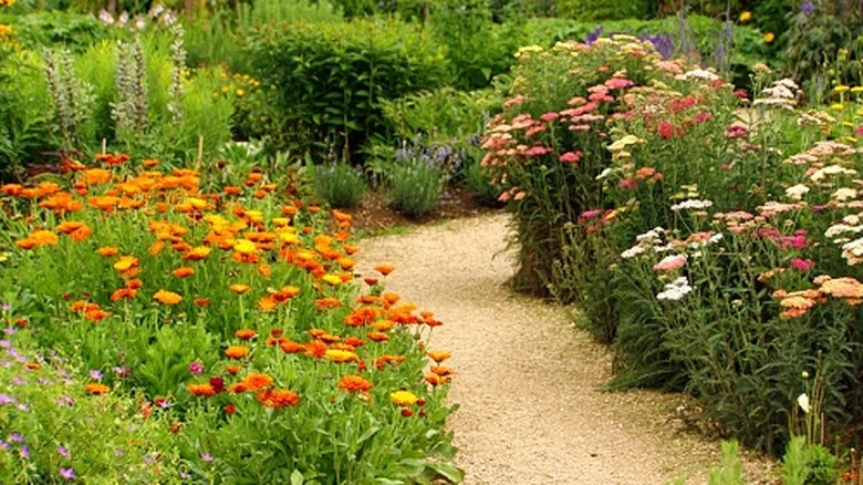 Say Goodbye To Concrete With An Eco-Friendly Garden Path You Can DIY