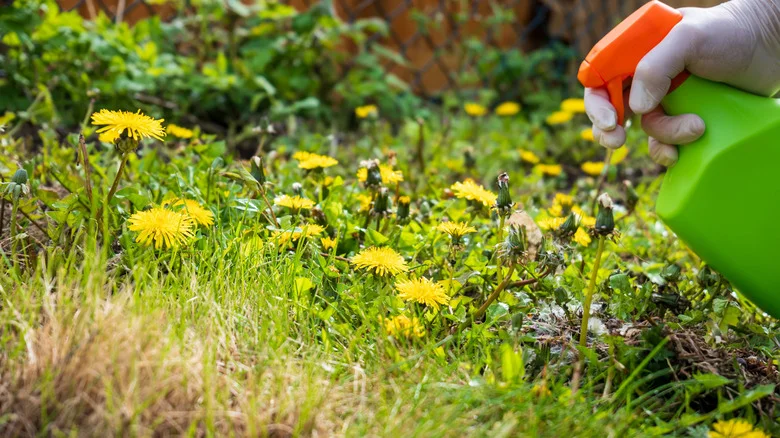 Say Goodbye To The Eyesore Of Weedy Patches In Your Yard With An Easy DIY Solution