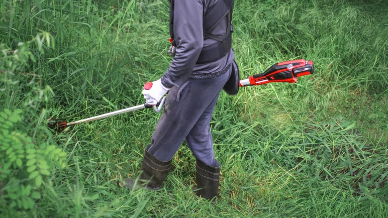 Say Goodbye To Your Messy Yard With These 16 Top-Rated Milwaukee Finds