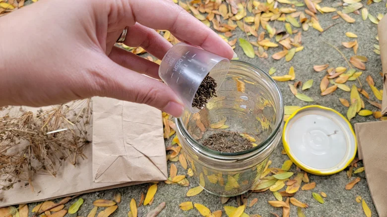 Seed Storage Mistakes Everyone Makes And Doesn’t Realize It
