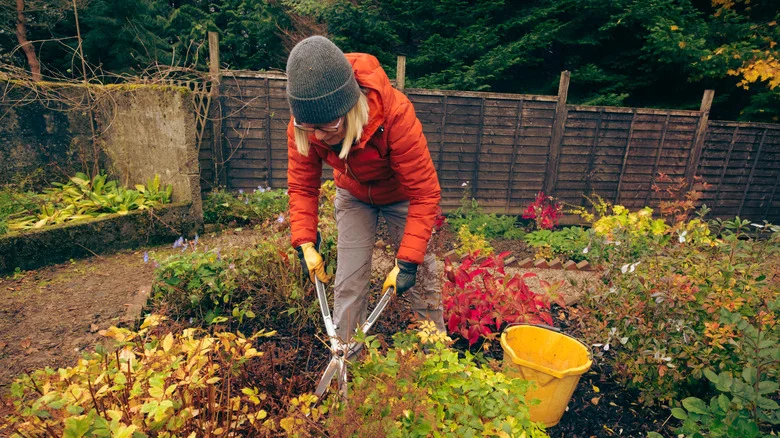 Sharpen All Your Garden Tools With An Easy Solution From Amazon