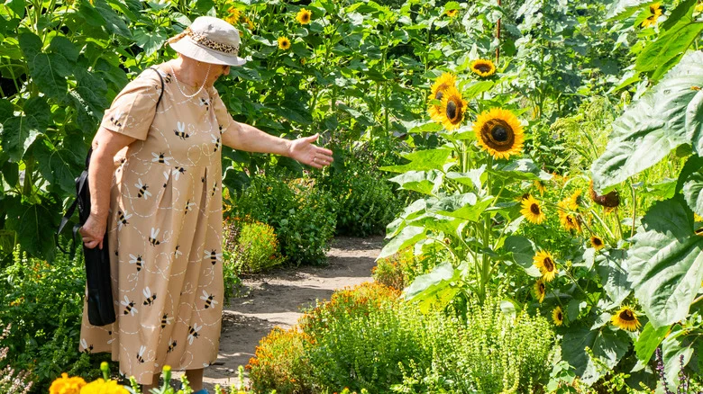 She Transformed A Boring Lawn Into A Multi-Layered Garden Path