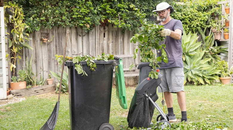Shearing Vs Pruning: How To Know Which Technique Your Shrubs Need