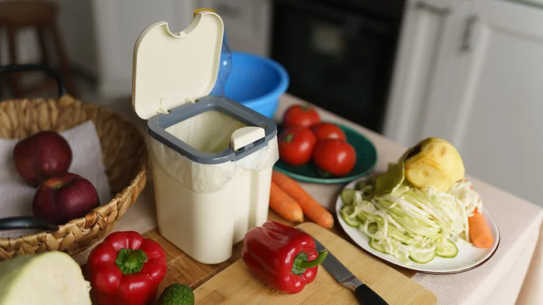 Short On Outdoor Space? Bokashi Composting Might Be Perfect For You
