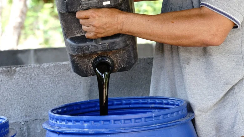 Should You Start Adding Molasses To Your Compost Pile? Here’s What We Know