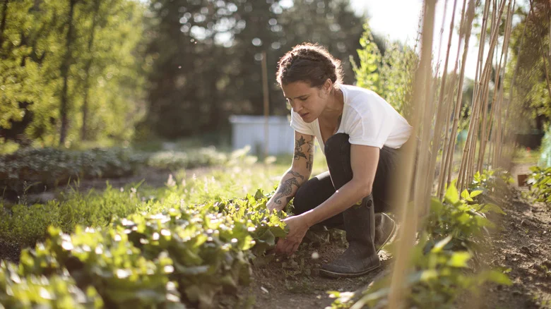 Show Off Beautiful Backyard Blooms With A Garden Obelisk You Can DIY