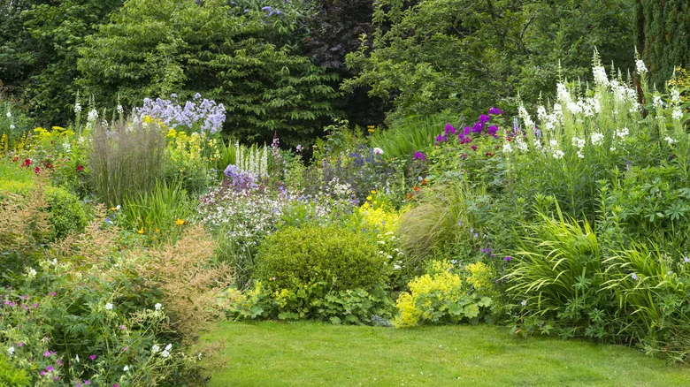Signs That It’s Time To Remove Annuals From Your Yard (& How To Do It)