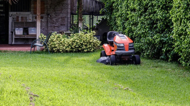 Simple Tips For Bringing Your St. Augustine Grass Back To Life