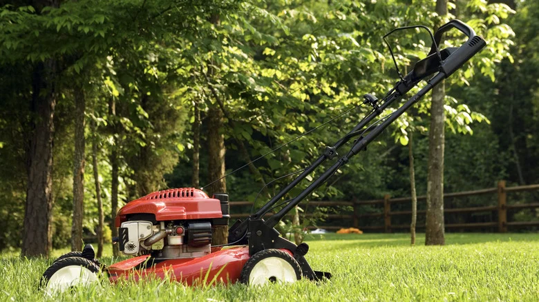 Simple Tips To Ensure You’re Not Being Overcharged For Lawn Care