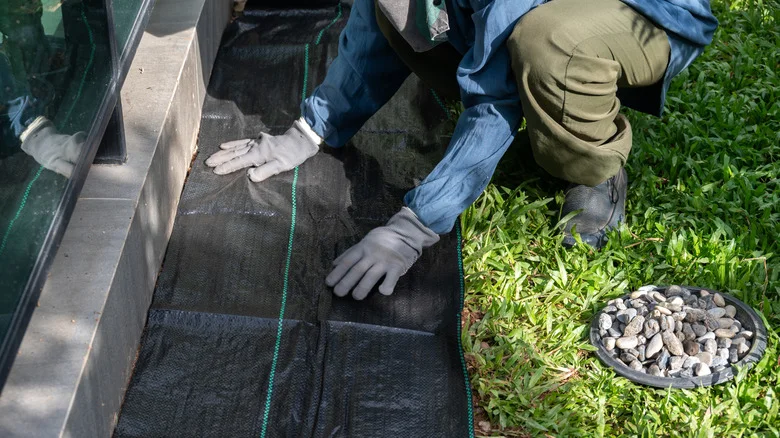 Skip Traditional Landscape Fabric: The Versatile Alternative That’s Eco-Friendly
