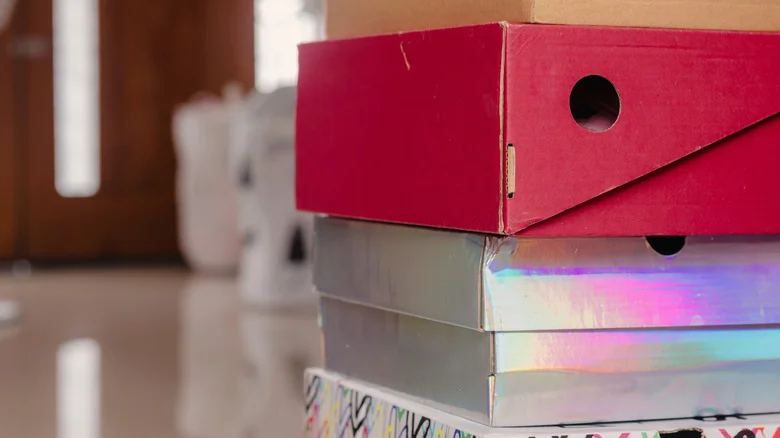 Smart Ways To Repurpose A Shoe Box For Your Garden And Plants