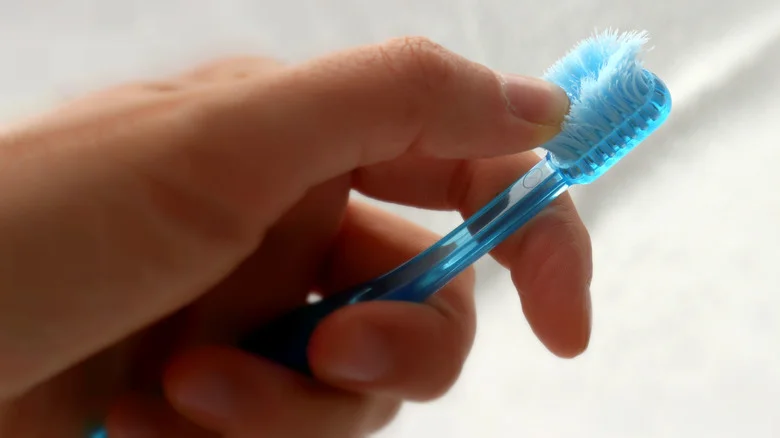 Smart Ways To Repurpose An Old Toothbrush In Your Garden