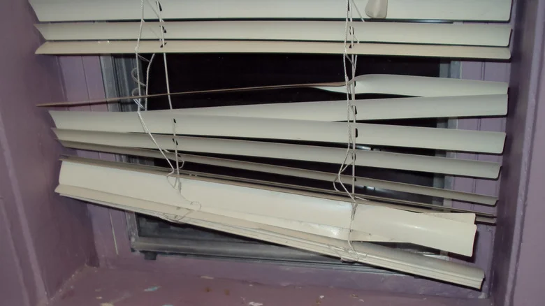 Smart Ways To Repurpose Those Old Or Broken Window Blinds In Your Home & Garden