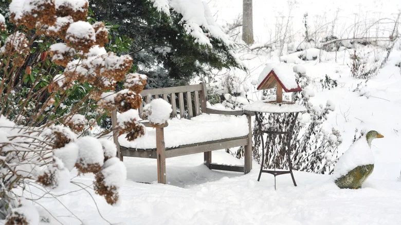 Snow Is A Secret Weapon When It Comes To Planning Your Spring Garden. Here’s Why