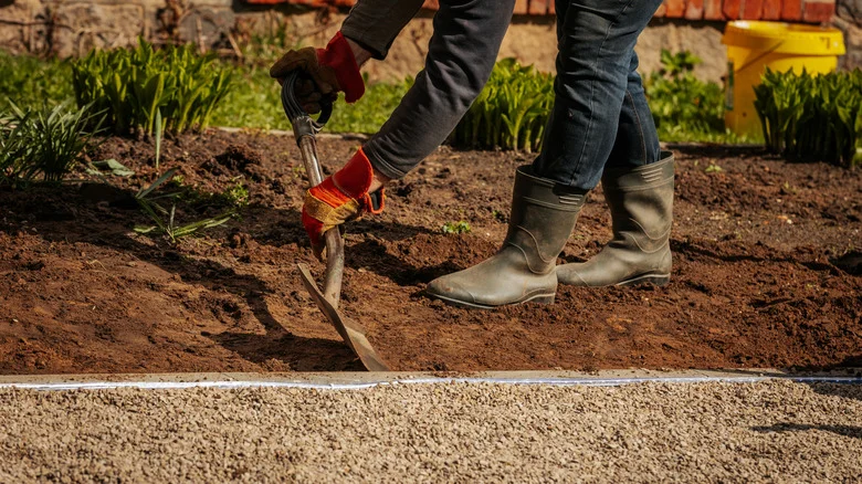 Soften Your Gravel Driveway Edges Using Herbs That Thrive In Poor Soil