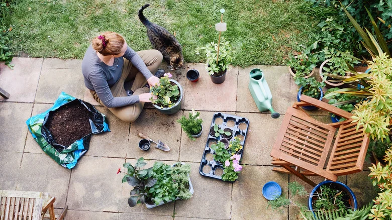 Spring Gardening Essentials You Can Snag From Your Local Dollar Tree