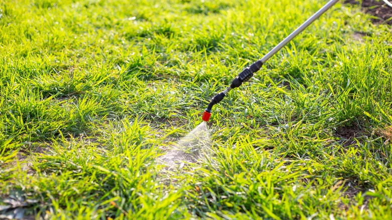 Spring Rain: How To Time Spraying Weeds In The Lawn With The Weather