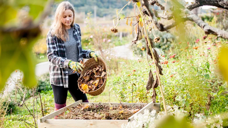 Start Adding Soap To Your Compost Pile And Watch What Happens