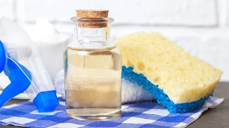 Surround Your Home With Jars Filled Of Vinegar And See What Happens