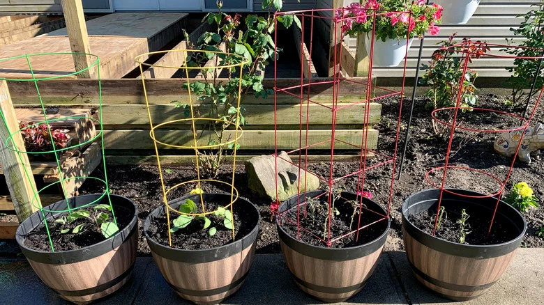 The 11 Best Ways To Repurpose Tomato Cages