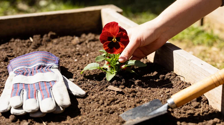The 14 Best Amazon Gardening Tools, According To Customers
