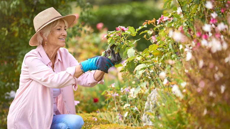 The ’60s Garden Movement That’s Making A Comeback In 2026
