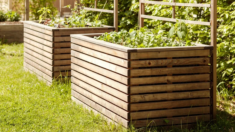 The Affordable DIY Alternative To Raised Garden Beds You Need To See To Believe