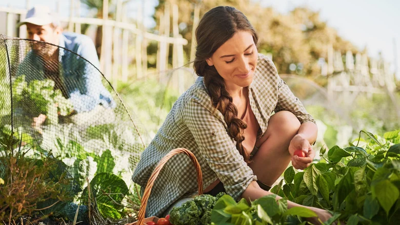 The Affordable Garden Path Solution You Can Find Right In Your Yard