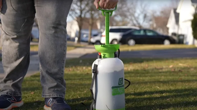 The Affordable Harbor Freight Tool That’s Great For Managing Weeds, Pests And More