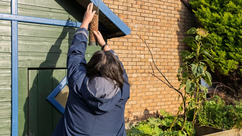 The Affordable IKEA Solution That Makes Hanging Bird Feeders A Breeze