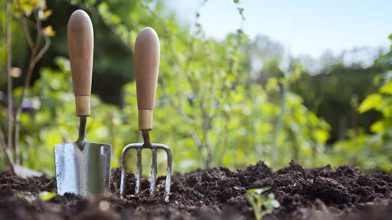 The All-Natural Substance That Will Help Keep Your Garden Tools From Rusting