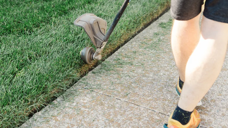 The Amazon Find That’ll Make Landscape And Driveway Edging Easier
