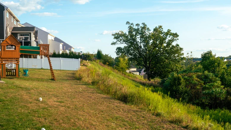 The Ancient Technique That’ll Make Gardening In Your Sloped Backyard A Breeze