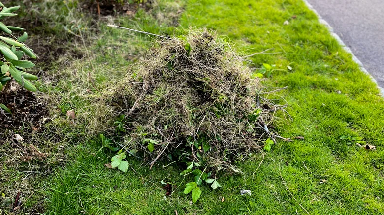 The Ancient Tool That’s Still A Top Option For Combating Weeds