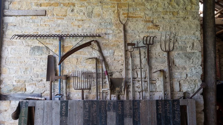 The Antique Gardening Tool TikTok Encourages You To Thrift For Harvest