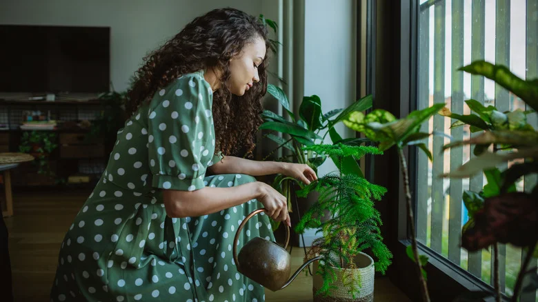 The Beloved Boozy Beverage That’ll Fertilize Your Plants
