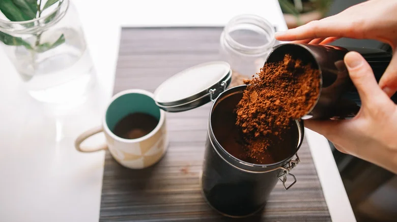 The Beneficial Reason You Should Sprinkle Coffee Grounds Around Your Bird Feeder