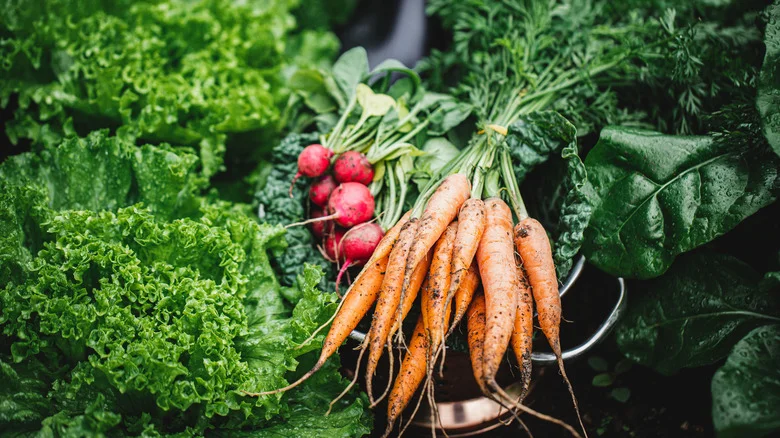 The Benefits Of Planting Radishes Next To Your Carrots In The Garden