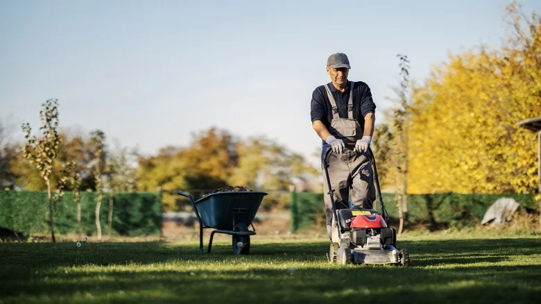 The Best 13 Lawncare Tools To Get From Harbor Freight According To Reviews