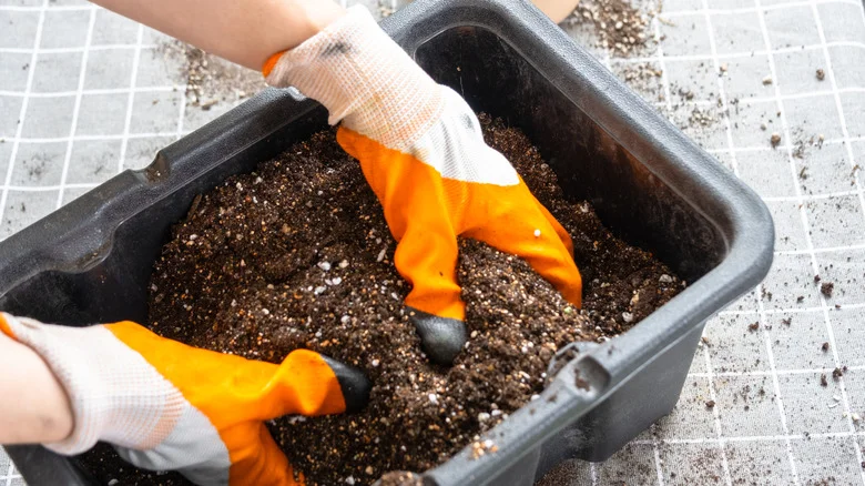 The Best DIY Soil Mix For Container Vegetable Gardens