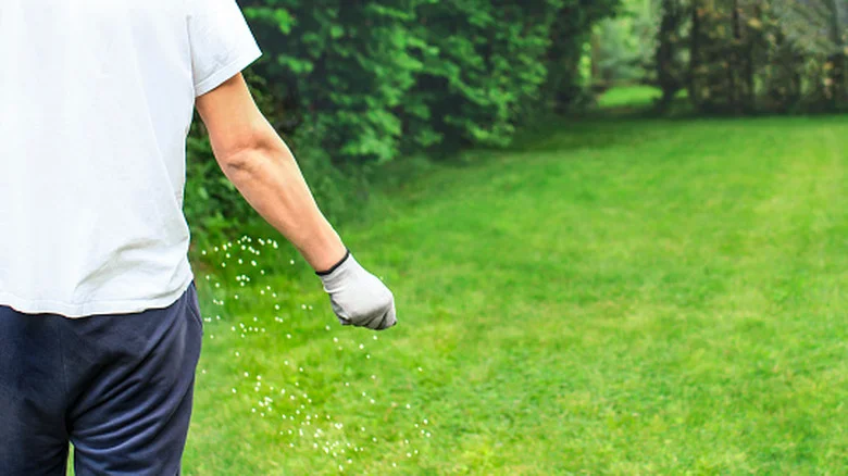 The Best Lawn Fertilizers To Use This Spring, Based On Reviews