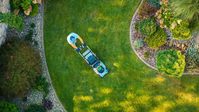 The Best Lawn Mower Setting For Each Grass Type (& More Care Tips)
