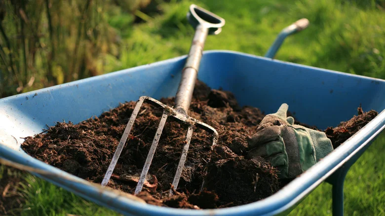 The Best Organic Fertilizers To Use In Spring For Your Lawn And Garden