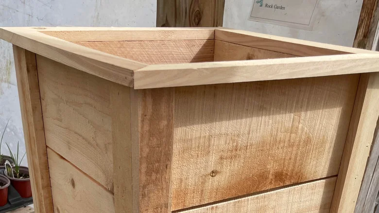 The Best Plants For Unsealed Wooden Planters